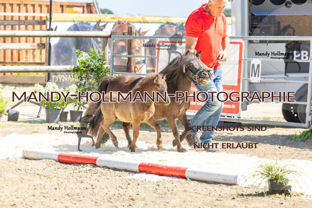 _MG_0653 | mandyhollmannphotographie