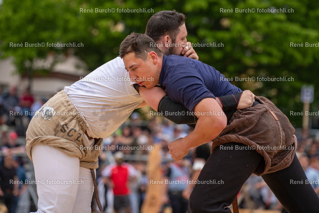 BUR03127 | René Burch leidenschaftlicher Fotograf aus Kerns in Obwalden.  Hier finden sie Sport, Landschaft und Natur Fotografie.
 - Realisiert mit Pictrs.com