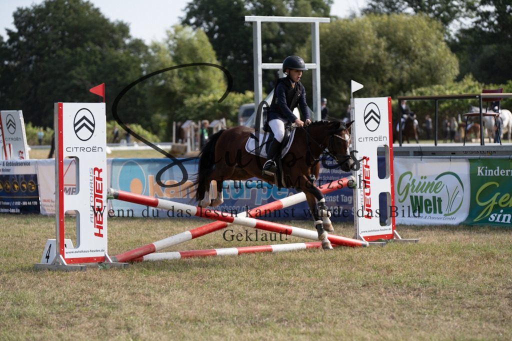 A7V08489 | Pferdefotograf