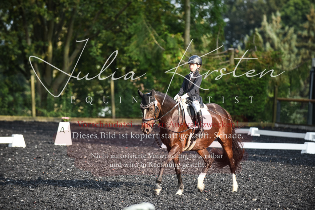 DSC_3534 | Pferde- und Turnierfotografie in Westsachsen. Pferdeportraits, Auftragszeichnungen und intuitive Kunst.
