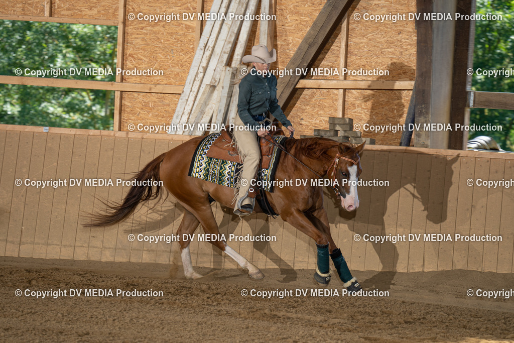 DSC00058 | dv-media-shop - Realisiert mit Pictrs.com