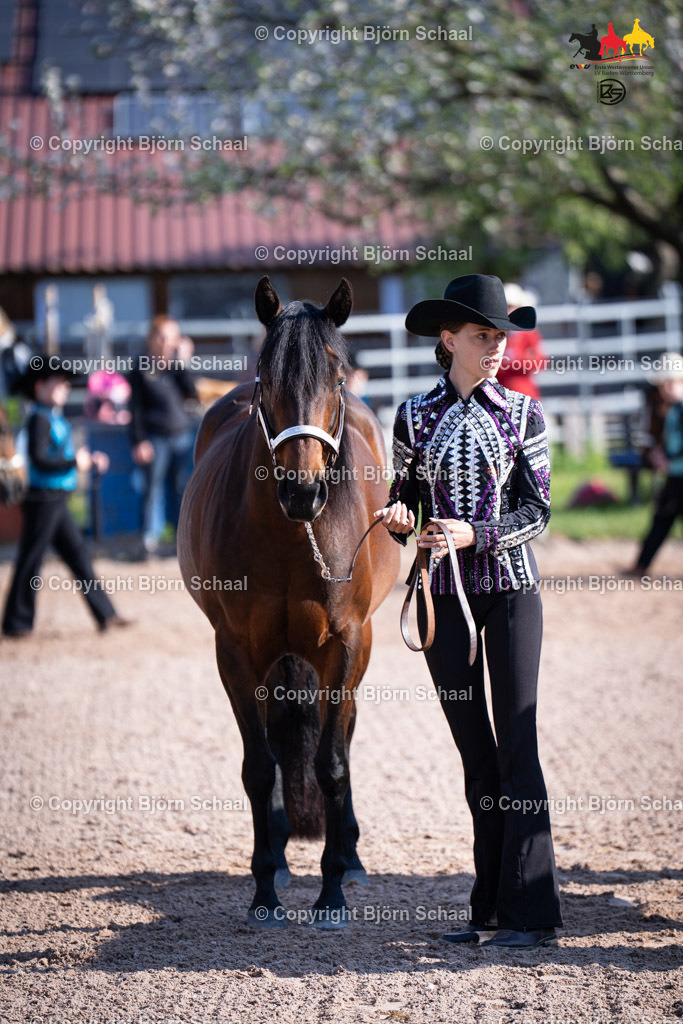 LMB07122 | BS-foto