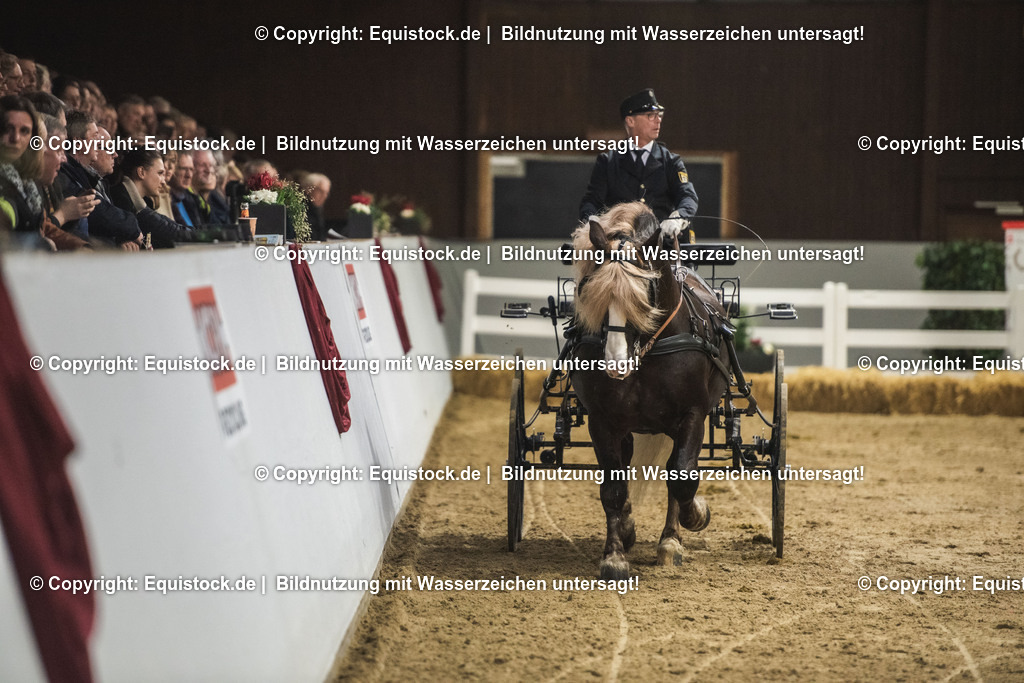 20240302_Hengstvorstellung_Marbach_TOMsPiC_0621 | equistock