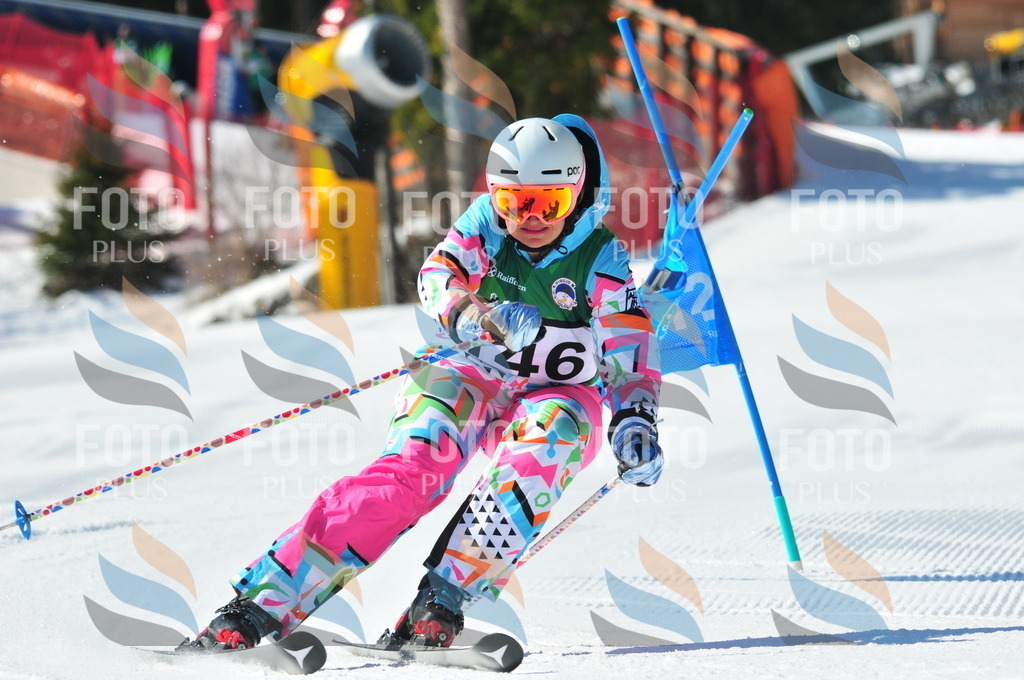 C4001 | holidayphoto