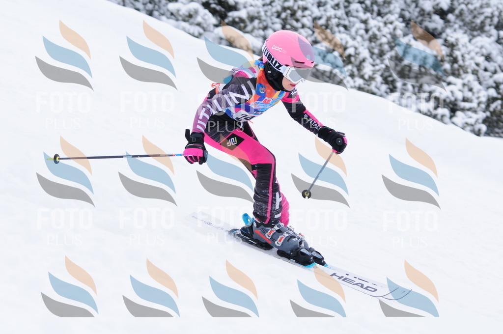 C2607 | holidayphoto