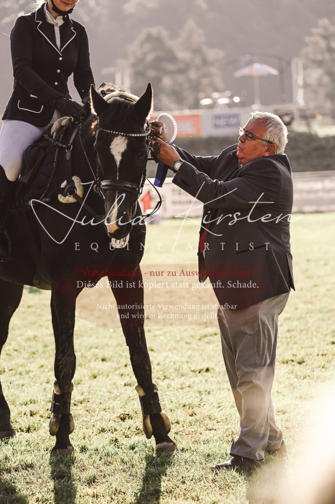 DSC_4557 | Pferde- und Turnierfotografie in Westsachsen. Pferdeportraits, Auftragszeichnungen und intuitive Kunst.