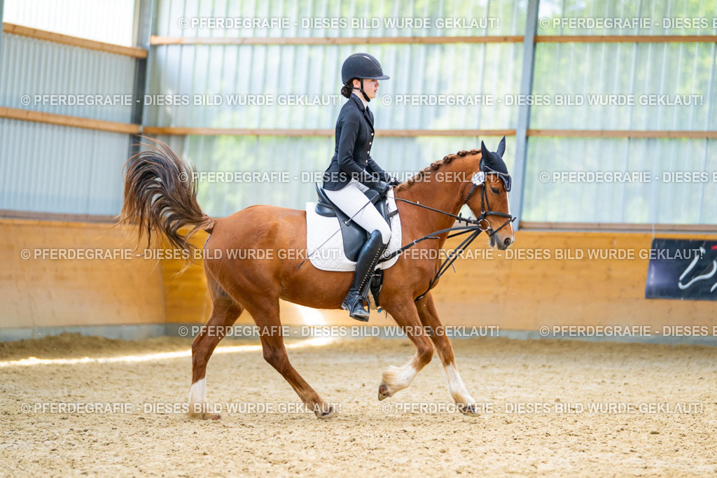 DSC08840 | Pferdegrafie