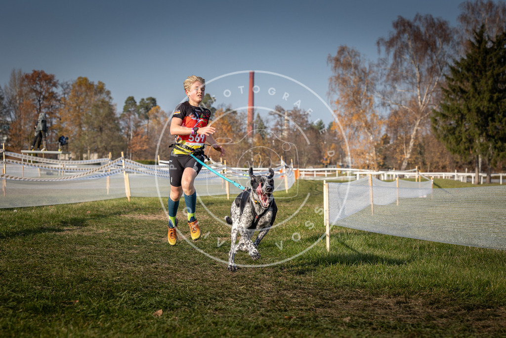 CaniXpix_0L8A9483 | Hundefotografie, Tierfotograf, Pfotenfotografie, Fotoshooting Hund, Hunde Portrait, Hundesport, Hundeportraits, Heideshooting, Hunde, Sportfotograf, Hundefotograf, Turnierhundsport, THS,  - Realisiert mit Pictrs.com