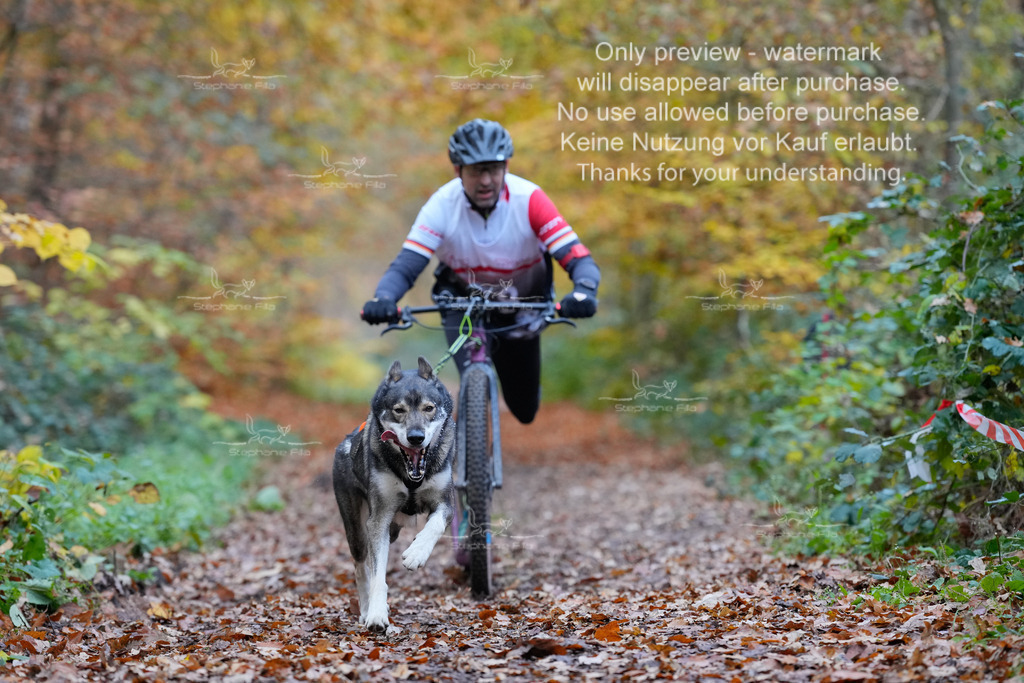 Scooter_So-38 | stephaniefillaphotographie - Realisiert mit Pictrs.com