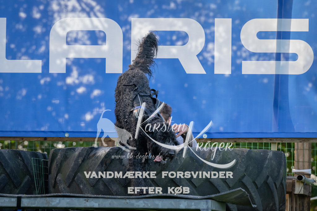 1126-92084 | kk-dogfotos