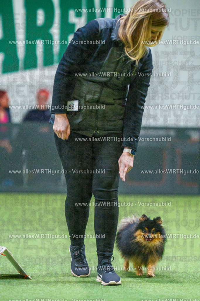 7R503511 | Professionelle Tierfotografie in Mönchengladbach von Daniel Wirth (allesWIRTHgut). Liebevolle & natürliche Bilder von Hunden & Katzen für unvergessliche Erinnerungen.