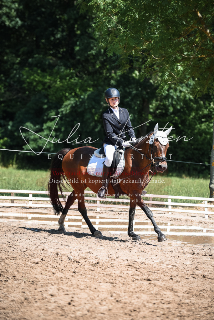 DSC_3053 | Pferde- und Turnierfotografie in Westsachsen. Pferdeportraits, Auftragszeichnungen und intuitive Kunst.