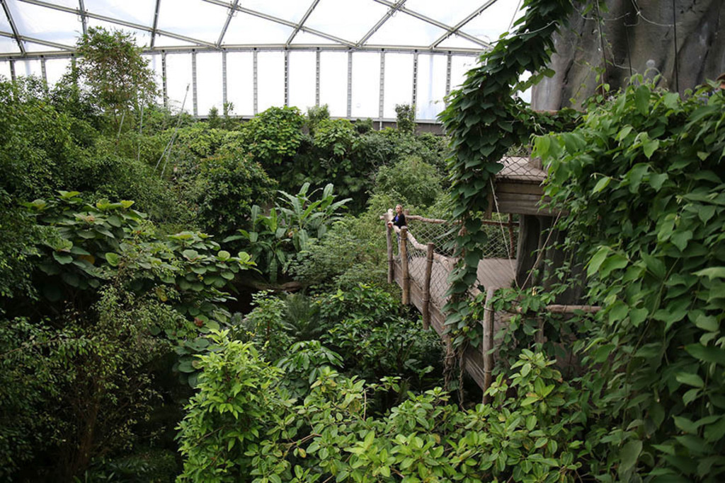Gondwanaland im Zoo Leipzig | Das Team hinter BILDLEXIKON LEIPZIG bündelt historische wie aktuelle Informationen über die Stadt Leipzig in Text und Bild auf einer Plattform und stellt diese der interessierten Öffentlichkeit zur Verfügung.
