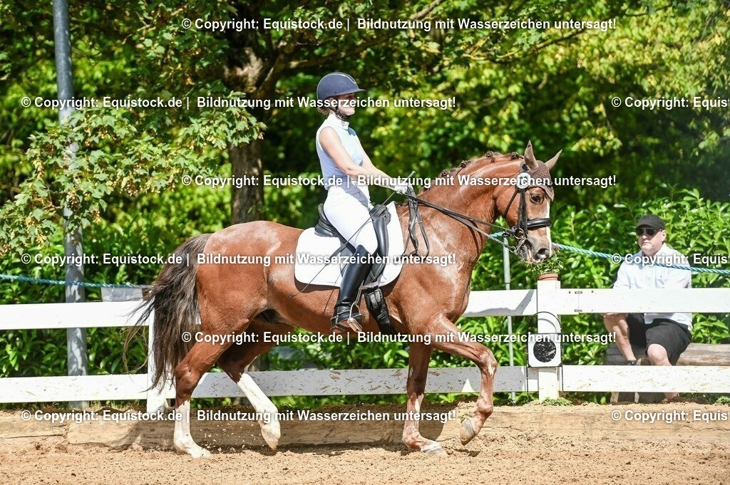 20230716_01_Dressurprüfung Kl.M_0242 | equistock