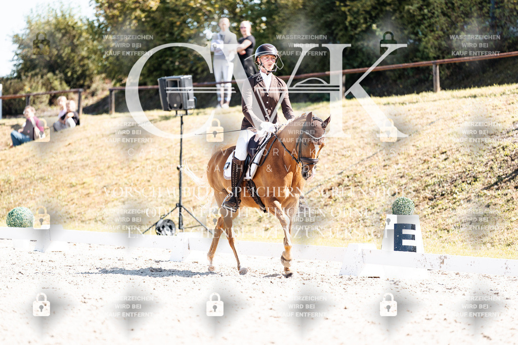 CK903715 | Turnierfotografie Pferdefotografie Trier Rheinland-Pfalz Pferdesport Reitsport Tierfotografie Sportfotografie Pferdevideo Pferdevideografie Equestrianvideography equestrianphotography  - Realisiert mit Pictrs.com