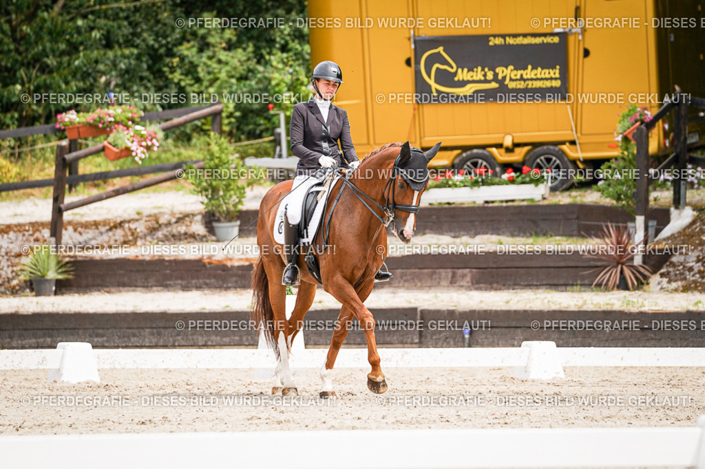 DSC05258 | Pferdegrafie