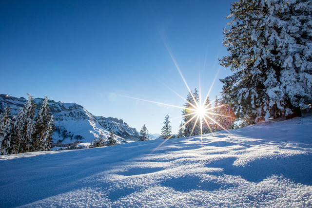 Winterlandschaft Sonja Limacher Photography | Fotografie#Bilder erzählen Geschichten#Familien#Kids#Portrait#Events#Paarshooting - Realisiert mit Pictrs.com