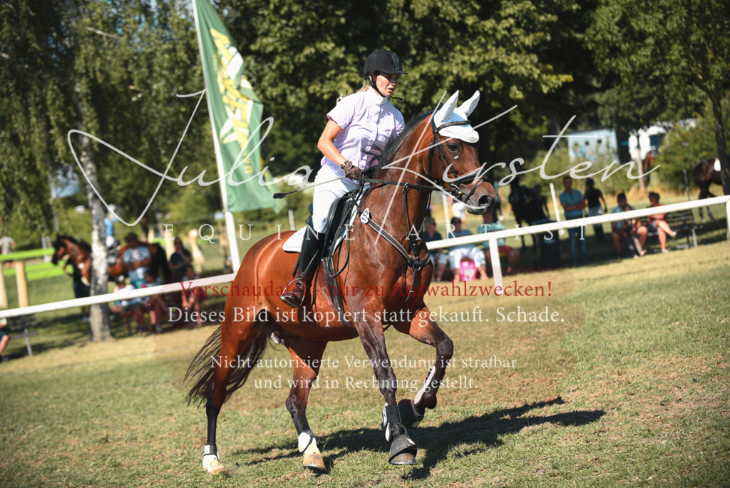 DSC_7184 | Pferde- und Turnierfotografie in Westsachsen. Pferdeportraits, Auftragszeichnungen und intuitive Kunst.