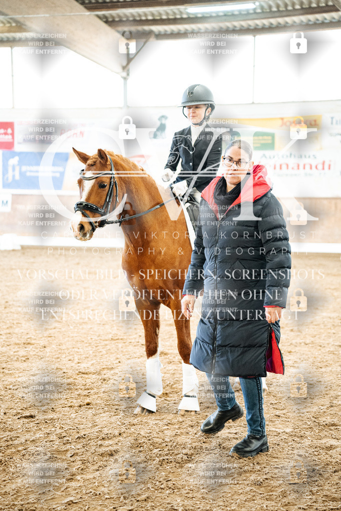 CK703021 | Turnierfotografie Pferdefotografie Trier Rheinland-Pfalz Pferdesport Reitsport Tierfotografie Sportfotografie Pferdevideo Pferdevideografie Equestrianvideography equestrianphotography  - Realisiert mit Pictrs.com