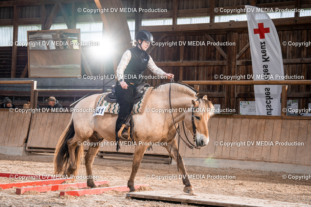 Heidelberg Tag 2-132 | dv-media-shop - Realisiert mit Pictrs.com