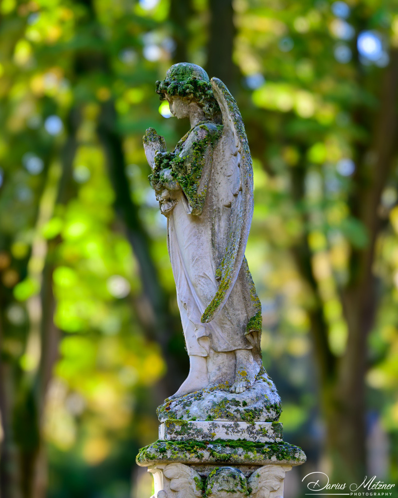 Der alte Hauptfriedhof in Mainz | Der alte Hauptfriedhof in Mainz