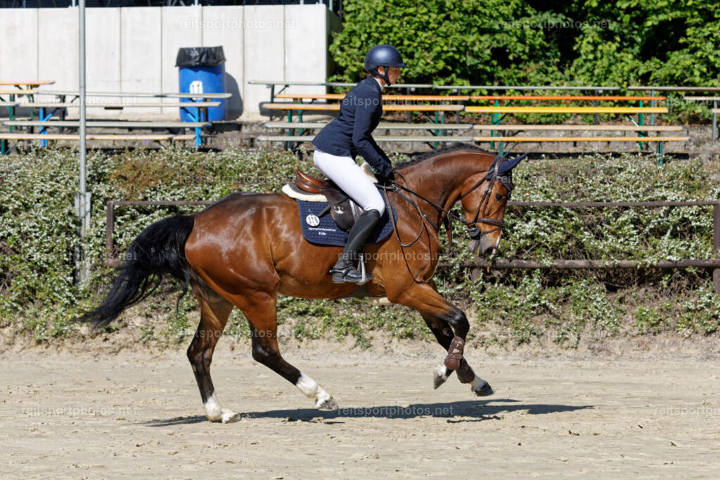 JHE30081 | JoYa Fotografie - Realisiert mit Pictrs.com