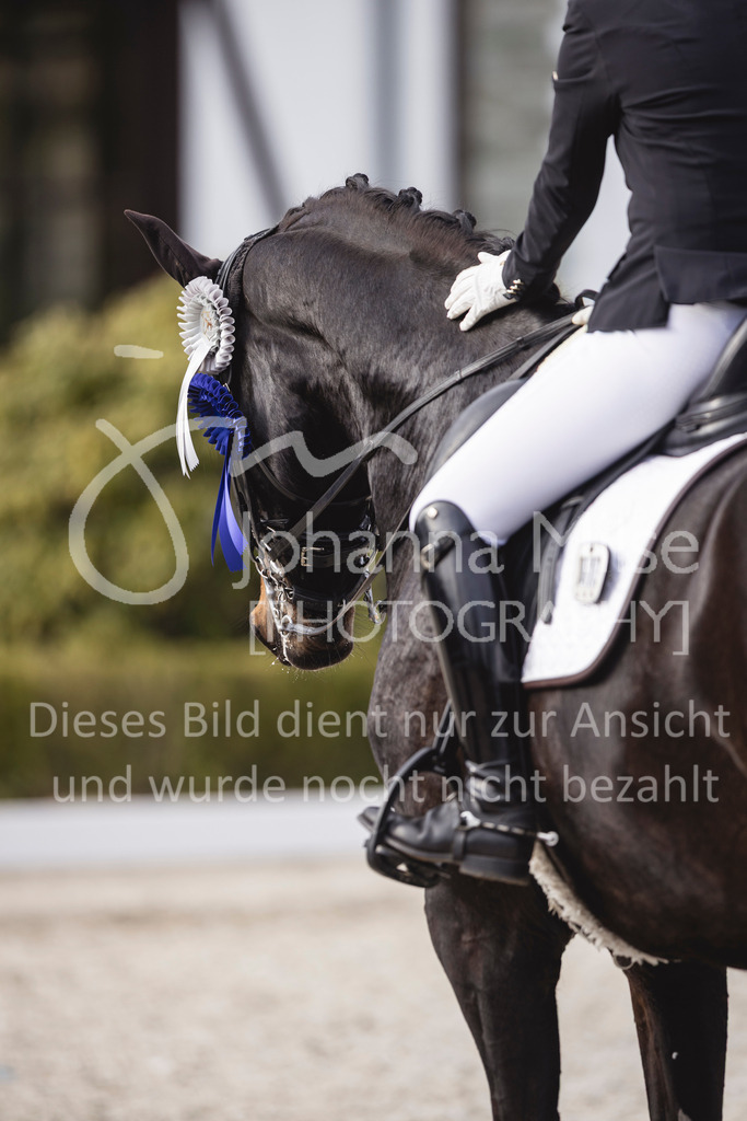 260411_Kronberg_Dressur-M2_Jun-447 | Deine schönsten Turniermomente als professionelle Fotos! Entdecke hochwertige Pferdesport-Fotografie im Online-Shop. Jetzt Fotos finden & bestellen!