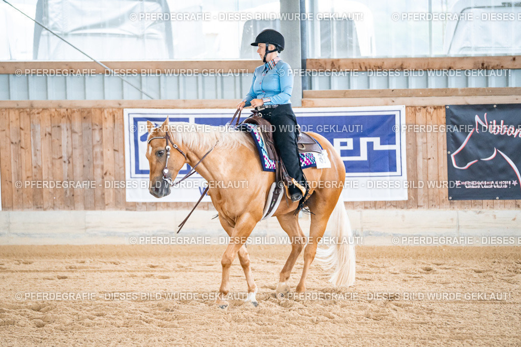 DSC01634 | Pferdegrafie