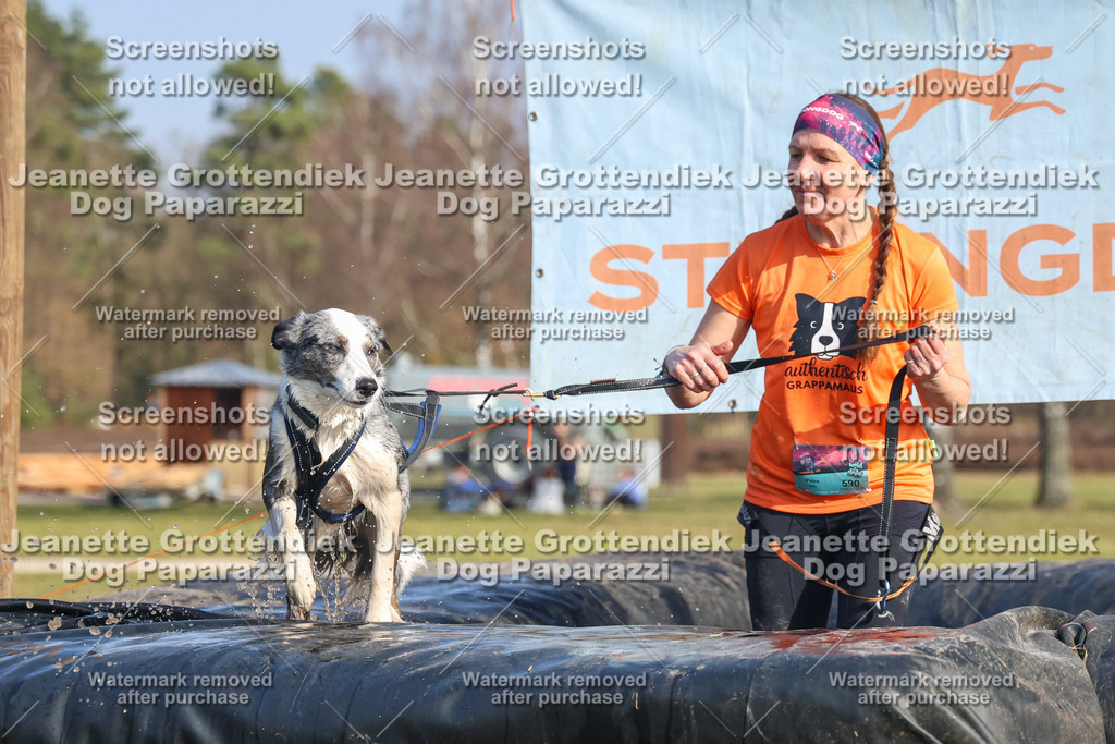 Dog Paparazzi - Strongdog North Mrz26-2984 | Dog Paparazzi Jeanette Grottendiek Fotografie & Videografie - Realisiert mit Pictrs.com