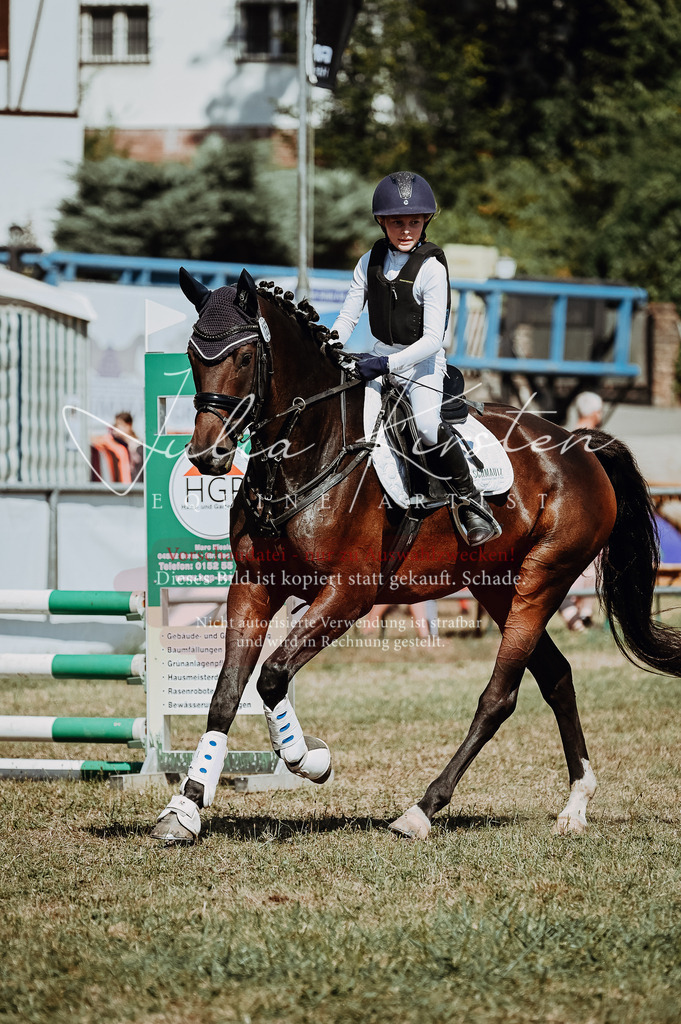 DSC_9786 | Pferde- und Turnierfotografie in Westsachsen. Pferdeportraits, Auftragszeichnungen und intuitive Kunst.