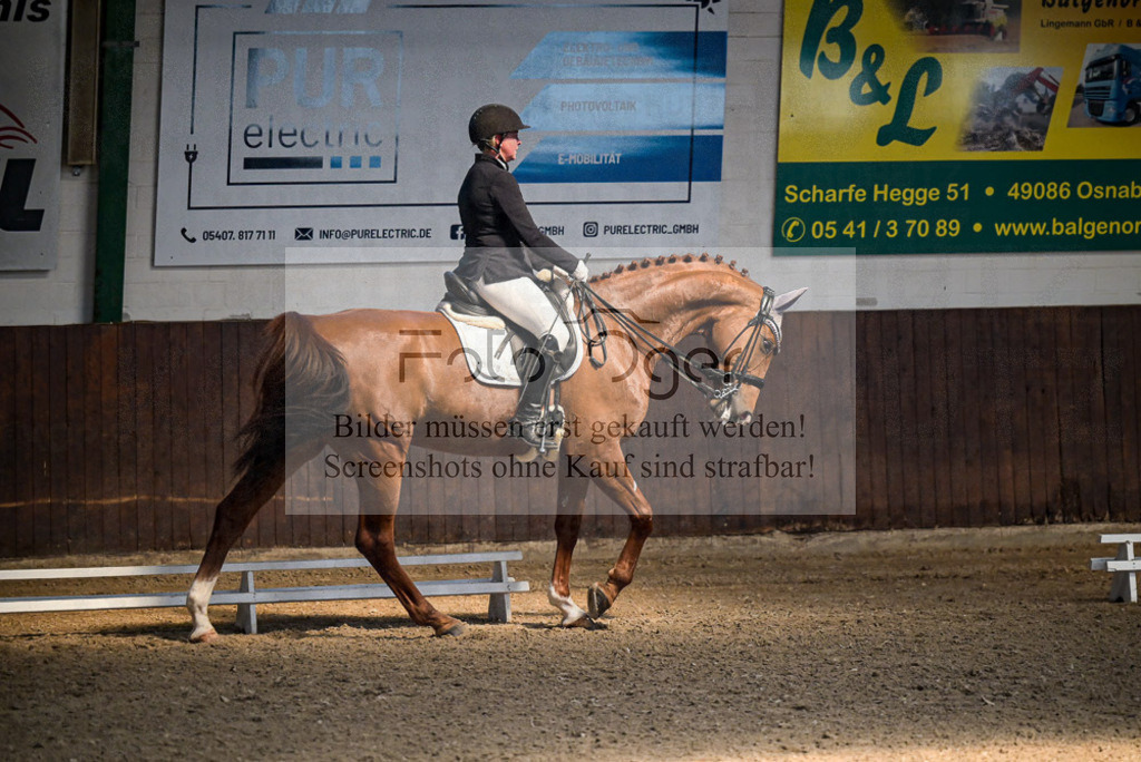 Reitturnier Voxtrup | Entdecke hochwertige Reitturnierfotos von Foto Oger. Professionell, emotional und authentisch – jetzt Lieblingsmomente im Shop bestellen.Deutschlandweite Turnierfotografie. - Realisiert mit Pictrs.com