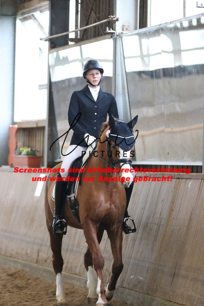 IMG_8331 | lmwpictures - Realisiert mit Pictrs.com