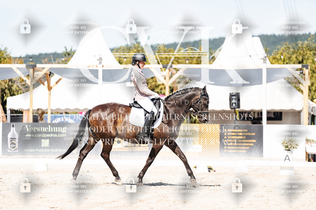 CK909435 | Turnierfotografie Pferdefotografie Trier Rheinland-Pfalz Pferdesport Reitsport Tierfotografie Sportfotografie Pferdevideo Pferdevideografie Equestrianvideography equestrianphotography  - Realisiert mit Pictrs.com