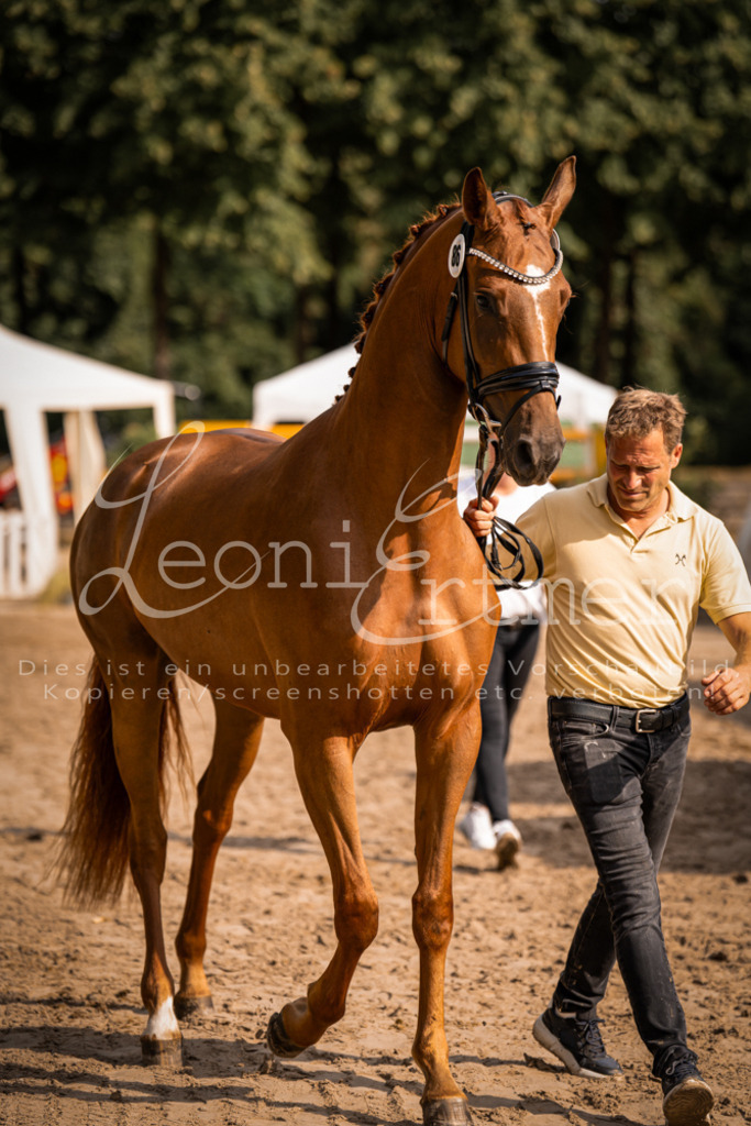 FrER00122 | Leoni Ertmer Photography - Realisiert mit Pictrs.com