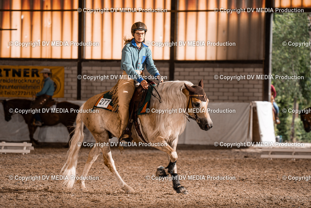 ZH300341 | dv-media-shop - Realisiert mit Pictrs.com