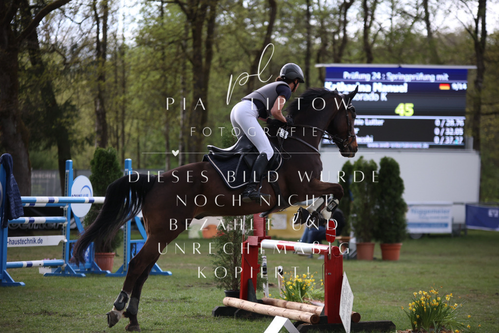 IMGT2072 | pl-fotografie