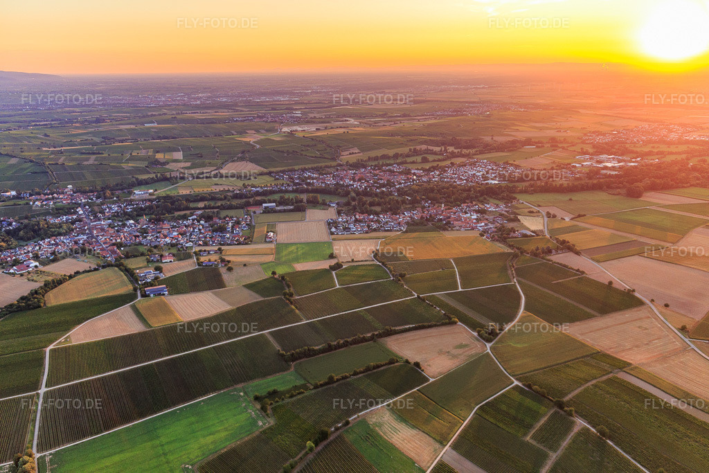 Luftbild: Ortsansicht bei Sonnenaufgang aus Südwesten im Ortsteil Ingenheim in Billigheim-Ingenheim im Bundesland Rheinland-Pfalz in Deutschland. Foto: IMG_109652.jpg vom 06.08.2018 durch Werner Riehm/FLY-FOTO.de