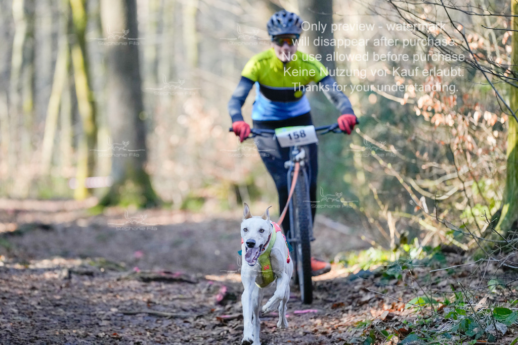 Scooter_So_So-8 | stephaniefillaphotographie - Realisiert mit Pictrs.com