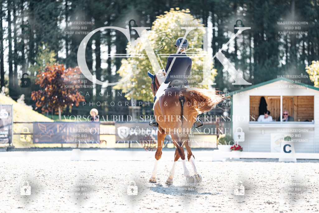 CK905491 | Turnierfotografie Pferdefotografie Trier Rheinland-Pfalz Pferdesport Reitsport Tierfotografie Sportfotografie Pferdevideo Pferdevideografie Equestrianvideography equestrianphotography  - Realisiert mit Pictrs.com