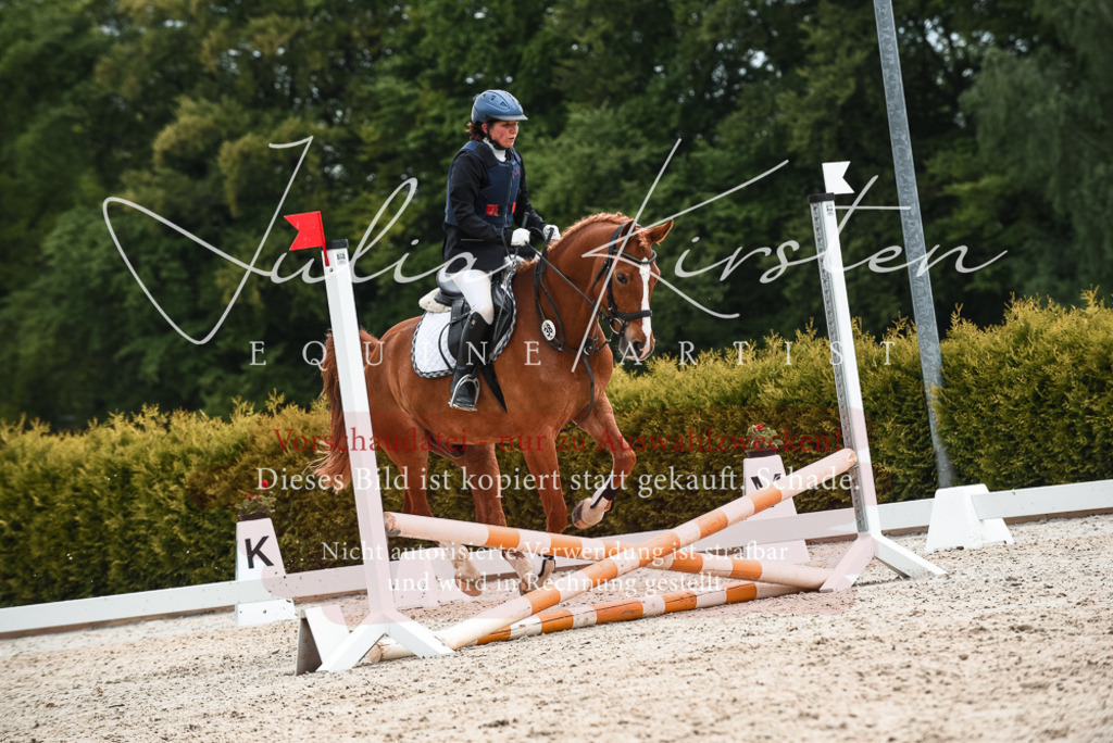 20230518_JK-Röhrsdorf-10-547 | Pferde- und Turnierfotografie in Westsachsen. Pferdeportraits, Auftragszeichnungen und intuitive Kunst.