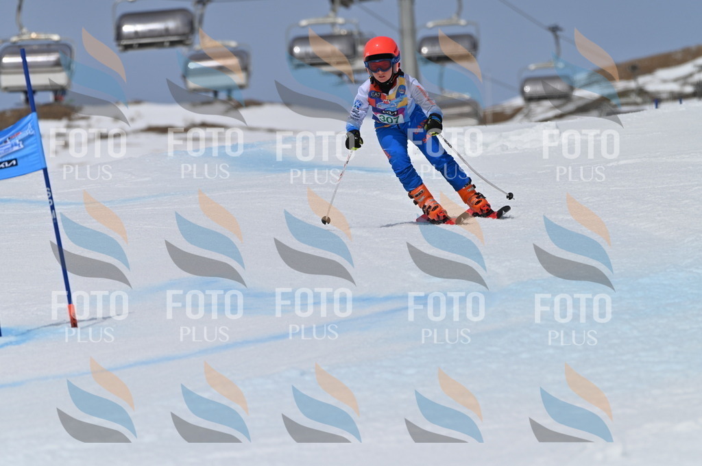 BGV_6090 | holidayphoto