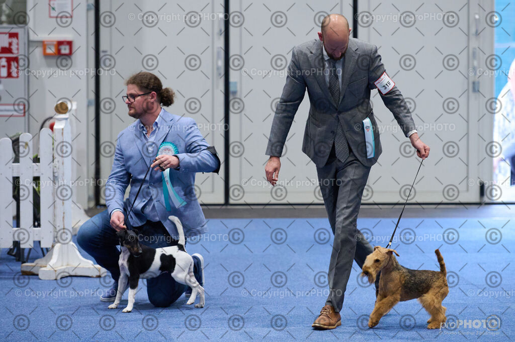 202406_ÖKV-IHA-Tulln24_DSC_3004 | proPHOTO - Realisiert mit Pictrs.com