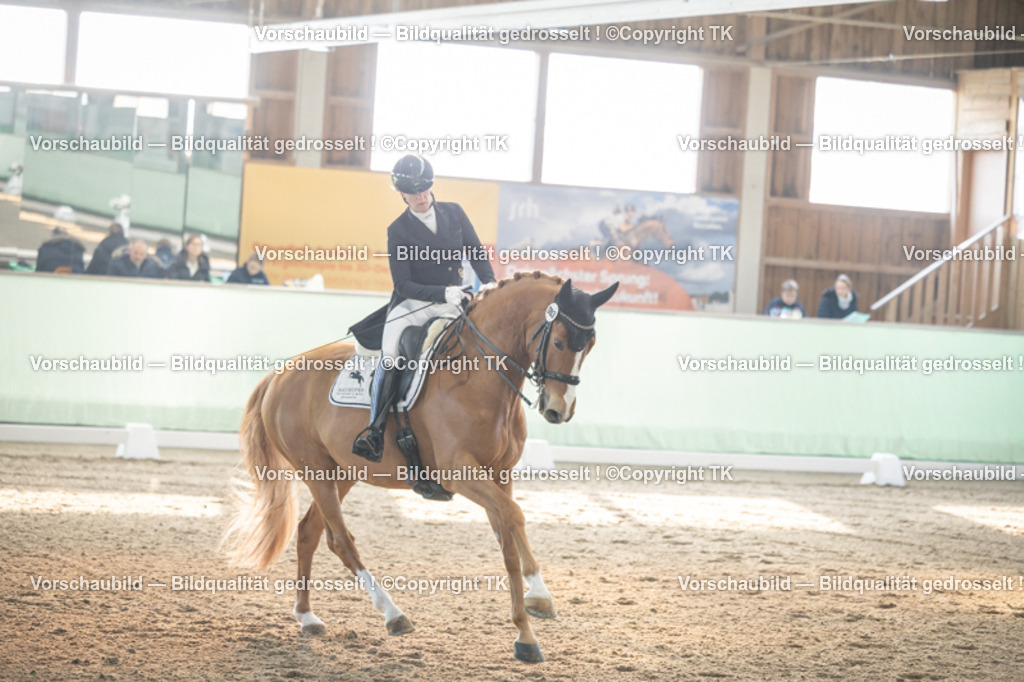 _D5A7948 | Emotionale Pferde- & People-Fotografie rund um Heidelberg, Leimen & Umgebung. Natürliche Fotos von Pferd, Mensch & Familie. Jetzt Termin sichern!