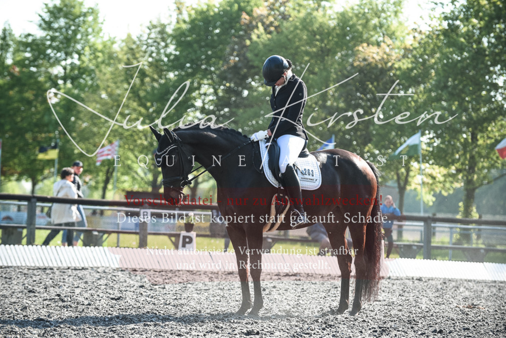 DSC_8399 | Pferde- und Turnierfotografie in Westsachsen. Pferdeportraits, Auftragszeichnungen und intuitive Kunst.