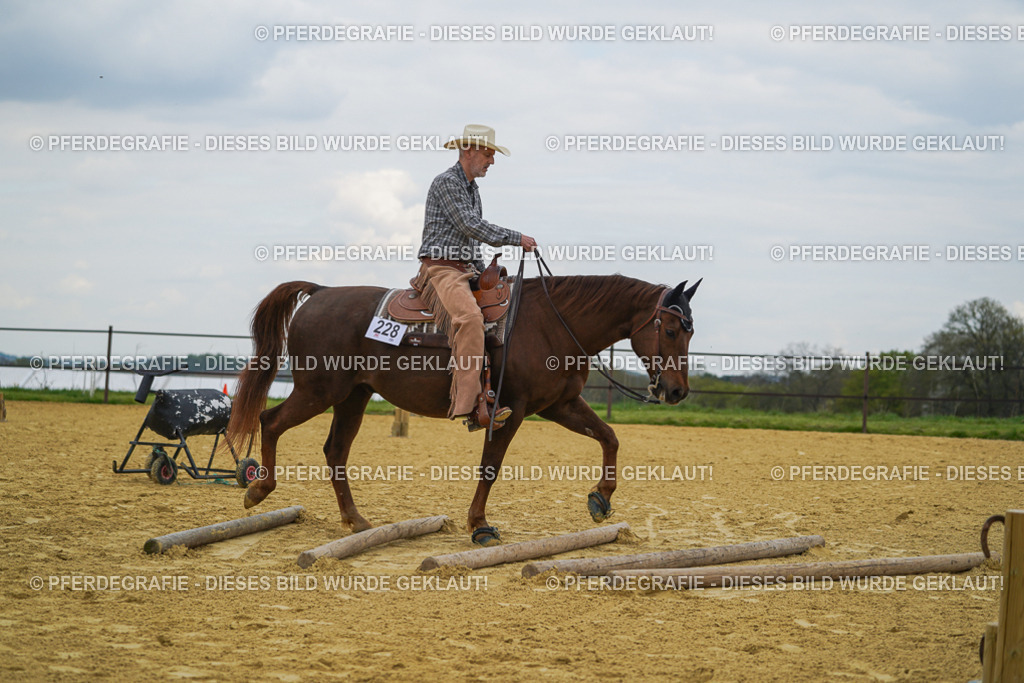 DSC06869 | Pferdegrafie