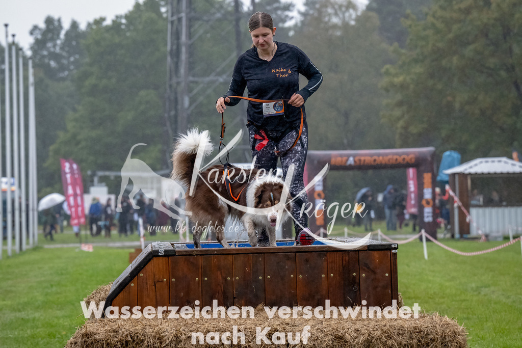 1001--9 | kk-dogfotos