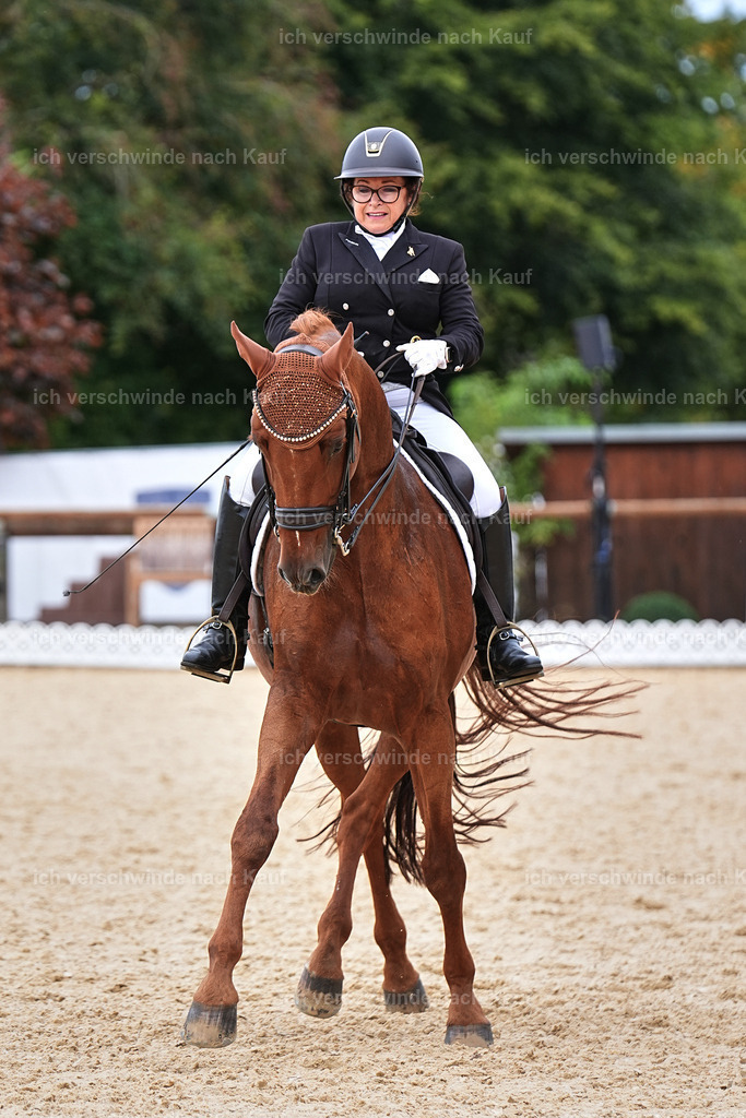 11-023-Dressur S___-Marixx-1681 | working equitationturnier fotograf videograf stoibphotography marixx film working equitation deutschland reitsport turnierfotografie eventfotografie equestrian events