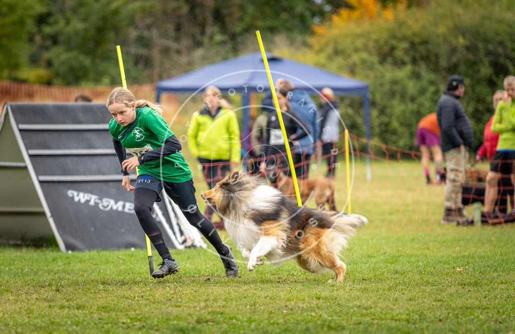 Pfotenfotografie_DV3A0635 | Hundefotografie, Tierfotograf, Pfotenfotografie, Fotoshooting Hund, Hunde Portrait, Hundesport, Hundeportraits, Heideshooting, Hunde, Sportfotograf, Hundefotograf, Turnierhundsport, THS,  - Realisiert mit Pictrs.com