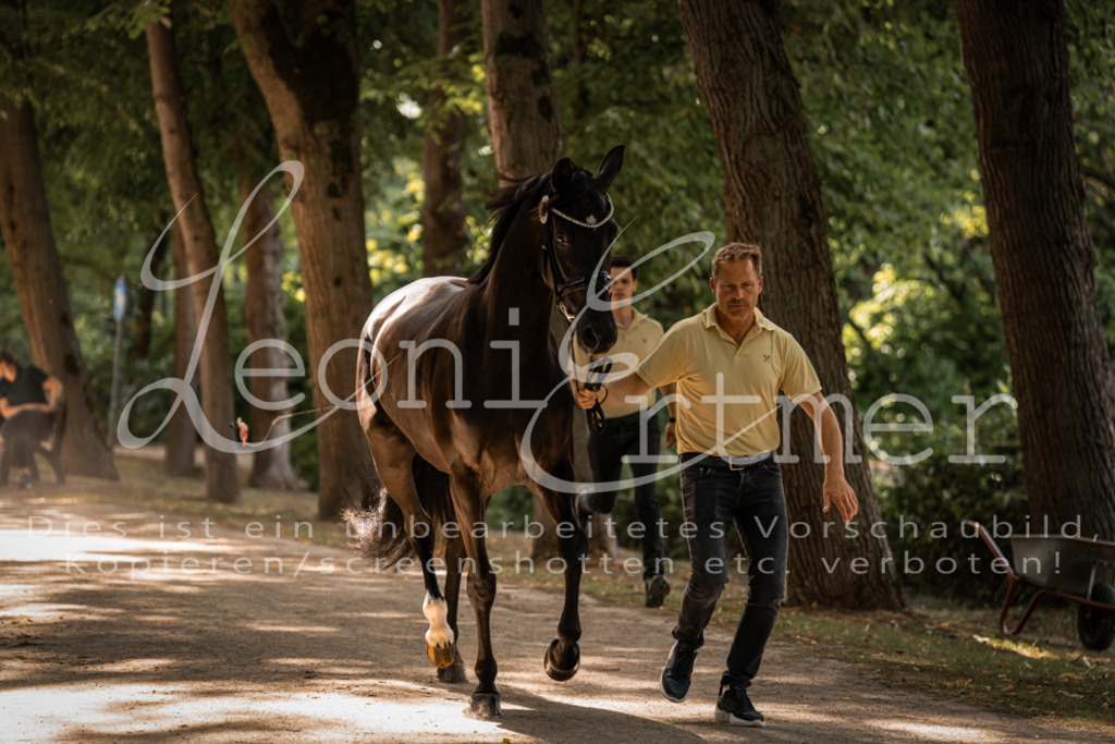 FrPfM00193 | Leoni Ertmer Photography - Realisiert mit Pictrs.com