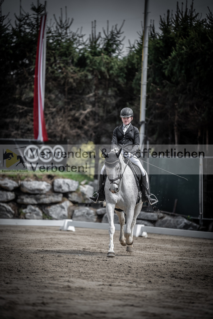 DSC_9799 | equestrian-live-com